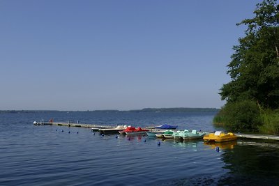 Frietied am Wittensee