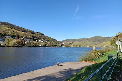 Vakantiehuis Ontspannende vakantie Zell (Mosel)