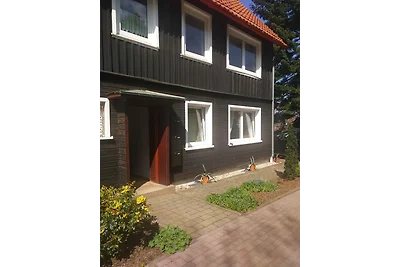 Blick über Hohegeiss