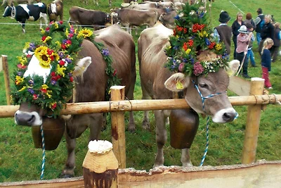 apartman za odmor Obiteljski odmor Hopferau