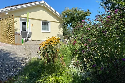 Allgäu- Ferienwohnung mit Hund