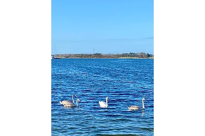 Ferienwohnung Jasmin Ostsee