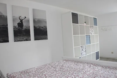 Fewo HARZ Benneckenstein