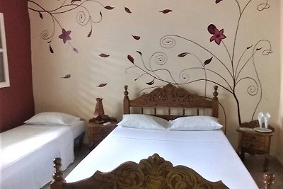HOSTAL NELY ROSA Appartement 1
