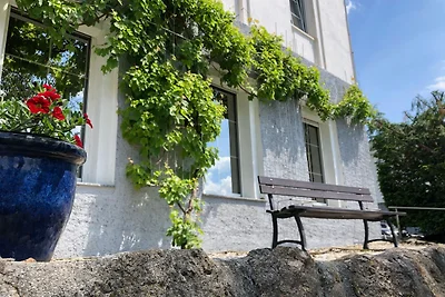 Ferienwohung in Dresden am Elbhang