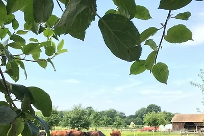 Ferienwohnungen Hackerhof