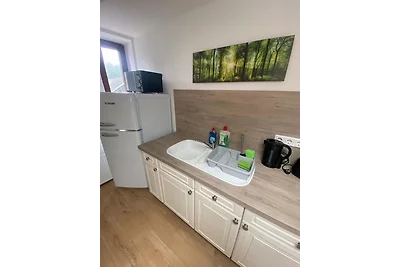 Möblierte 2- Zimmer Wohnung im