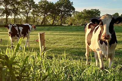 Vakantieappartement Gezinsvakantie Ihlow