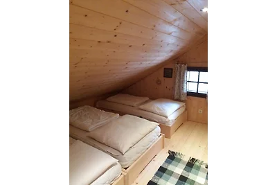 Vakantiehuis Ontspannende vakantie Pfarrwerfen