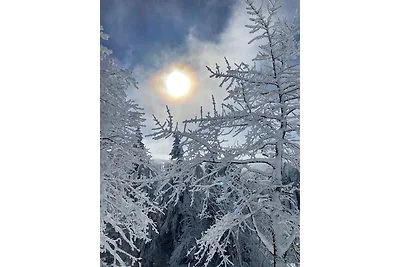 Ferienwohnung "Schwarzwald-Nest"