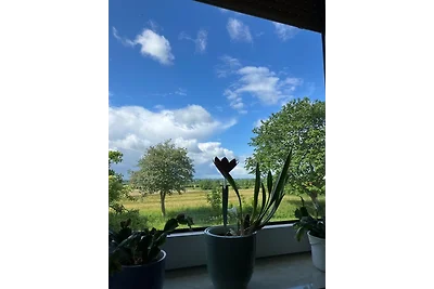 Haus mit Herz - Ferienwohnung 1