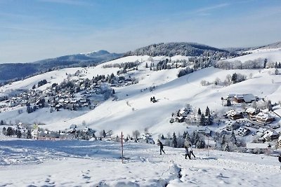 Vakantieappartement Gezinsvakantie Todtnau