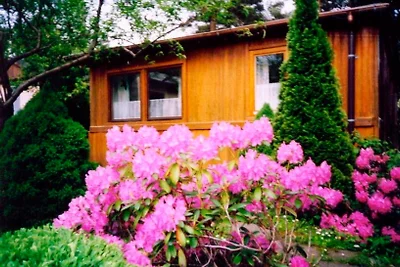 Ferienhaus in Waren Müritz