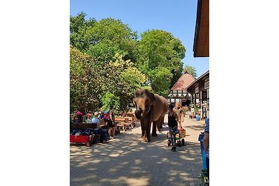 Elefant