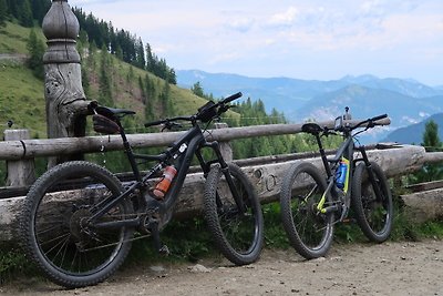 Vakantieappartement Gezinsvakantie Wildschönau