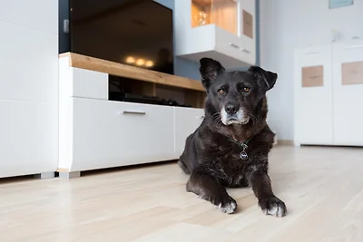 Ferienhaus Nr. 4, Kategorie Premium