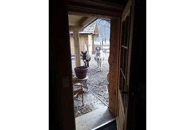 Romantik Heidi Hütte by FeWo-Plan