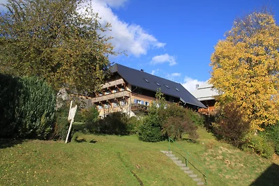 Vakantiehuis Ontspannende vakantie Bernau im Schwarzwald
