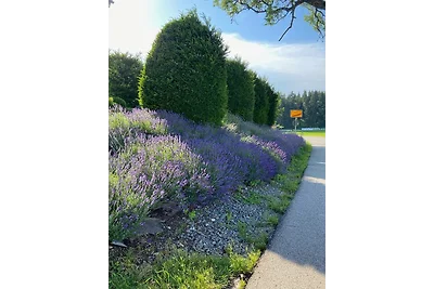 Appartamento Vacanza con famiglia Traunstein