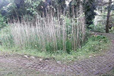 Ferienwohnungen Willrich -