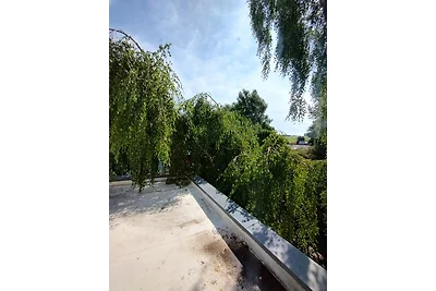 Vakantieappartement Gezinsvakantie Birgel