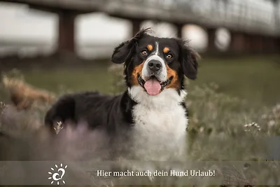 Vakantieappartement Gezinsvakantie Dorum