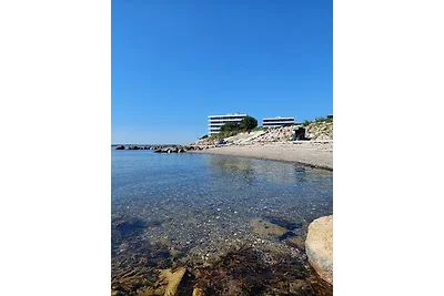 Haus Berlin Wohnung 105