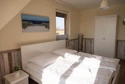 Lagunenstadt am Haff - 246 Seeigel