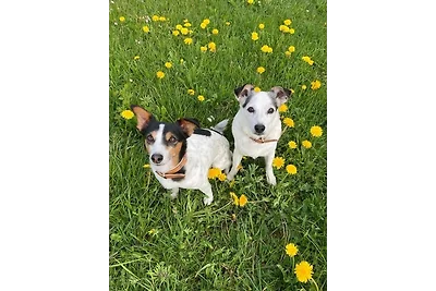 Alpenflair - mit KönigsCard