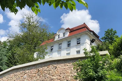 Ferienwohung in Dresden am Elbhang