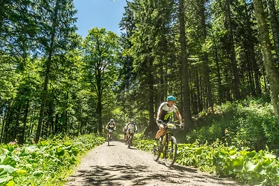 Appartamento Vacanza con famiglia Titisee-Neustadt