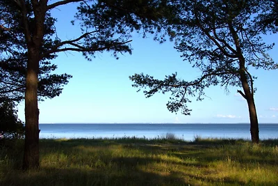 Appartamento Vacanza con famiglia Stralsund