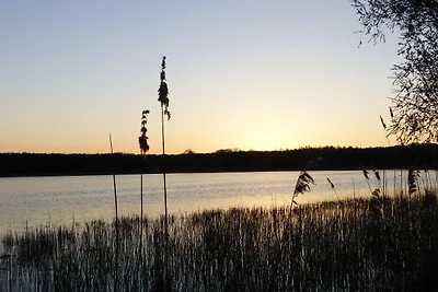 Ferienwohnung Ivenack Erdgeschoss