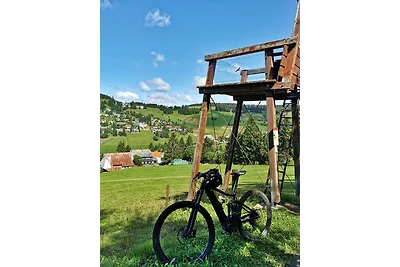 Ferienwohnung "Domicil Schluchsee"