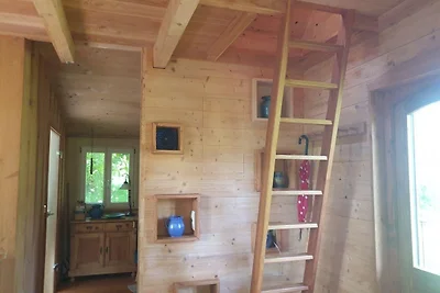 Sonniges, naturnahes Schwarzwald