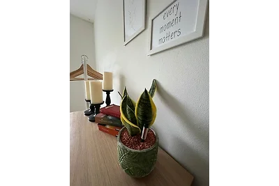 Vakantieappartement Gezinsvakantie Isenbüttel