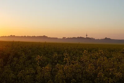 Ferienhaus Am Feld, Whg. "Weizen"