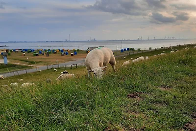Vakantiehuis Ontspannende vakantie Butjadingen