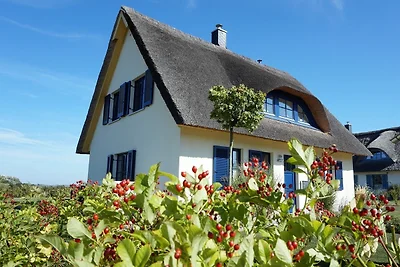 Reethaus "Lachmöwe*****"