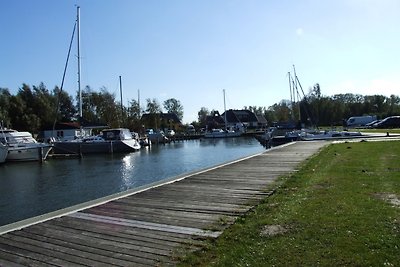 Vakantiehuis Ontspannende vakantie Saal in Vorpommern