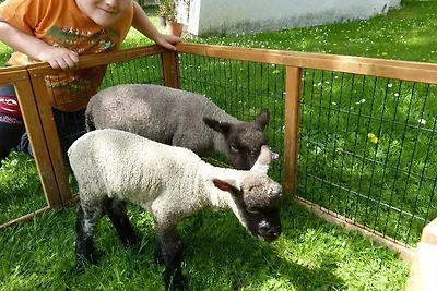 Ferien am Bauernhof, Wohnung 3