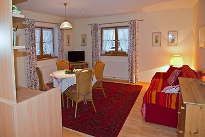 Vakantieappartement Gezinsvakantie Kitzbühel