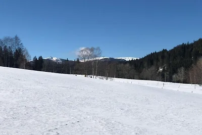 Vakantieappartement Gezinsvakantie Hinterzarten