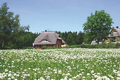 Reetgedecktes Ferienhaus