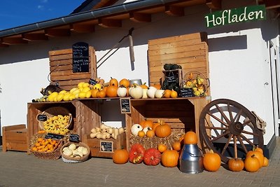 Vakantieappartement Gezinsvakantie Sinzig