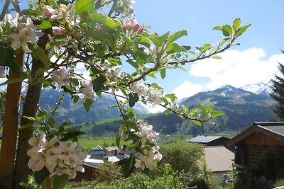 Vakantieappartement Gezinsvakantie Piesendorf