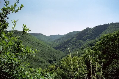Vakantiehuis Ontspannende vakantie Beltheim