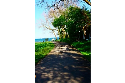 Strande, fast am Strand