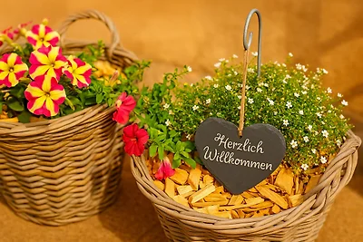 SeeOase Muhr am Altmühlsee inkl.