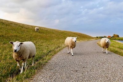 Barreirefreie FeWo in Ostfriesland